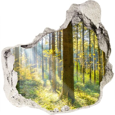 3D wandsticker gat in de muur Een oase van licht in het bos