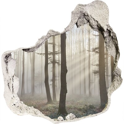 3D muursticker effect gat in de muur Mistig bos in het ochtendlicht