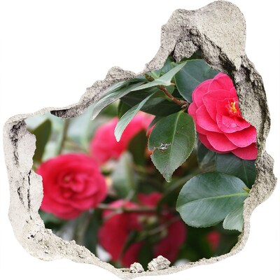 3D wandsticker gat in de muur Bloementuin van beton