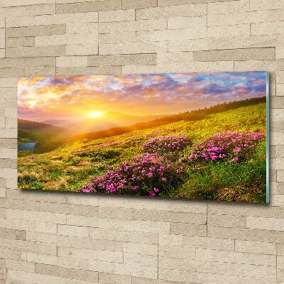 Plexiglas schilderij Zonsondergang boven de bergen