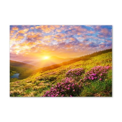 Plexiglas schilderij Zonsondergang boven de bergen