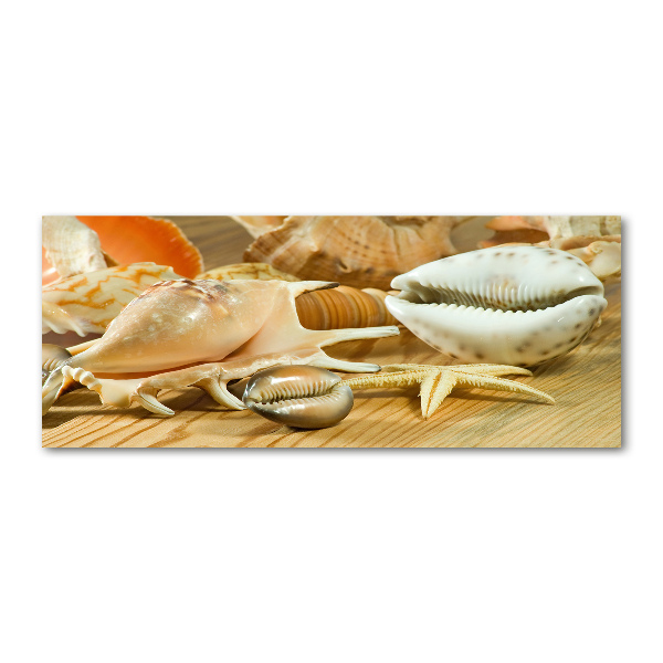Schilderij op acrylglas Schelpen op hout