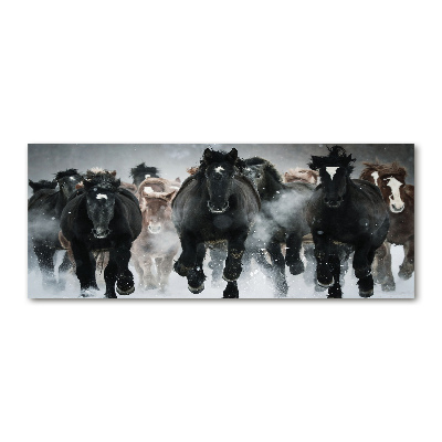 Foto in plexiglas Paarden in galop