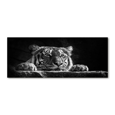 Schilderij op acrylglas Tijger