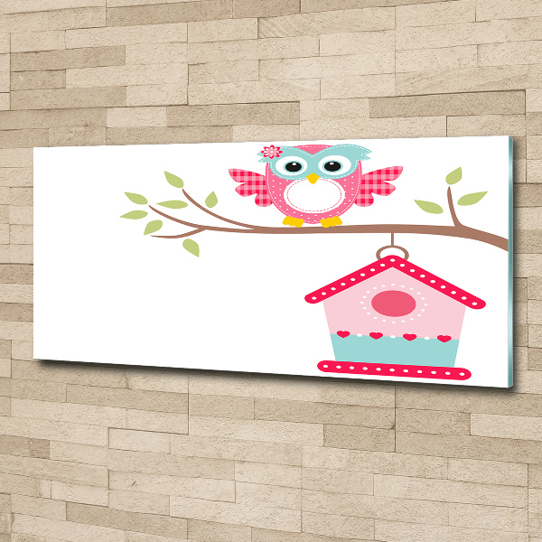 Schilderij op acrylglas Uil op een tak