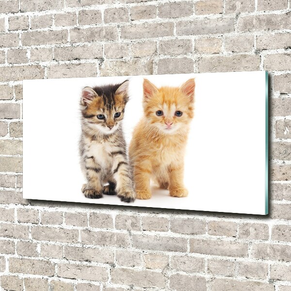 Plexiglas schilderij Bruine en rosse kat