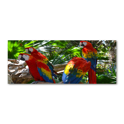 Foto op plexiglas Ara papegaaien
