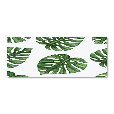 Foto plexiglas Monstera