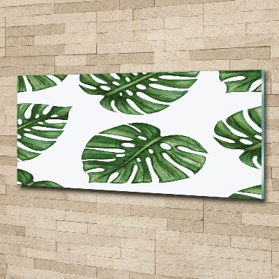 Foto plexiglas Monstera