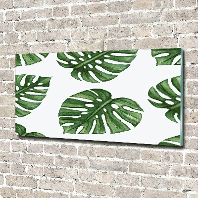 Foto plexiglas Monstera