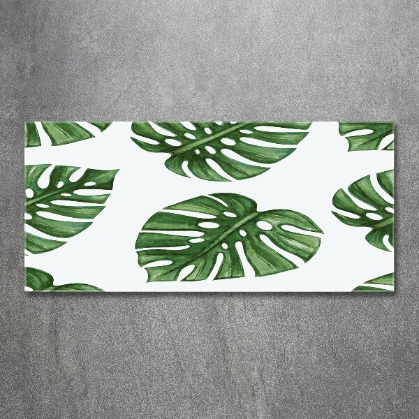 Foto plexiglas Monstera