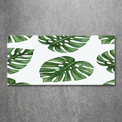 Foto plexiglas Monstera
