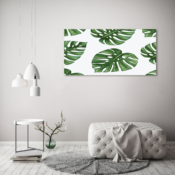 Foto plexiglas Monstera