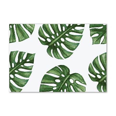 Foto plexiglas Monstera