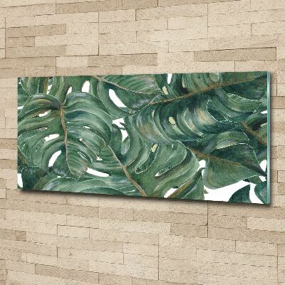Schilderij op acrylglas Monstera