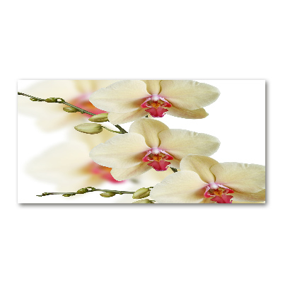 Plexiglas schilderij Orchidee