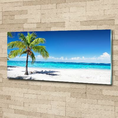 Foto op plexiglas Tropisch strand