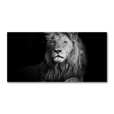 Plexiglas foto Leeuw