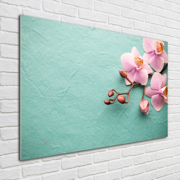 Plexiglas foto Orchidee