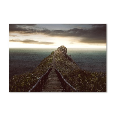 Schilderij op acrylglas Pad op de rots