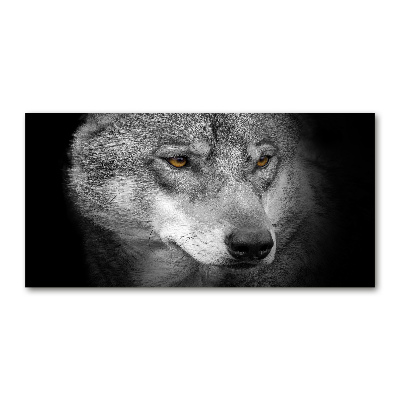Foto plexiglas Wolf