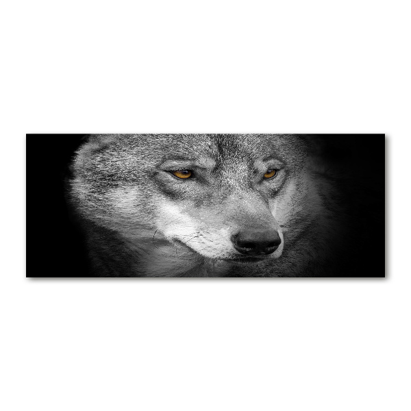 Foto plexiglas Wolf