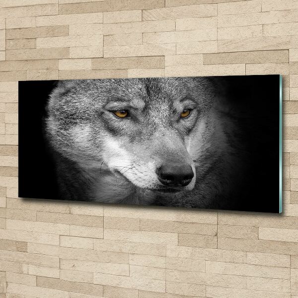 Foto plexiglas Wolf