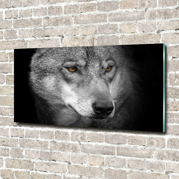 Foto plexiglas Wolf