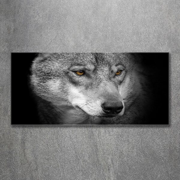 Foto plexiglas Wolf