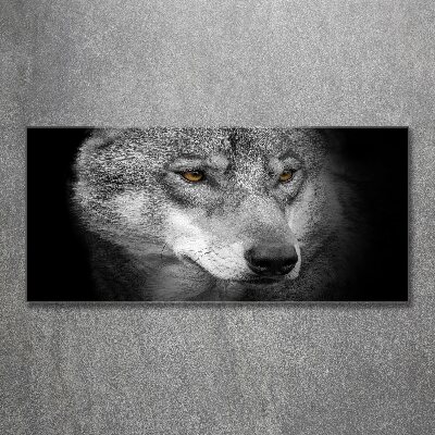 Foto plexiglas Wolf