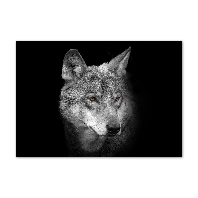 Foto plexiglas Wolf