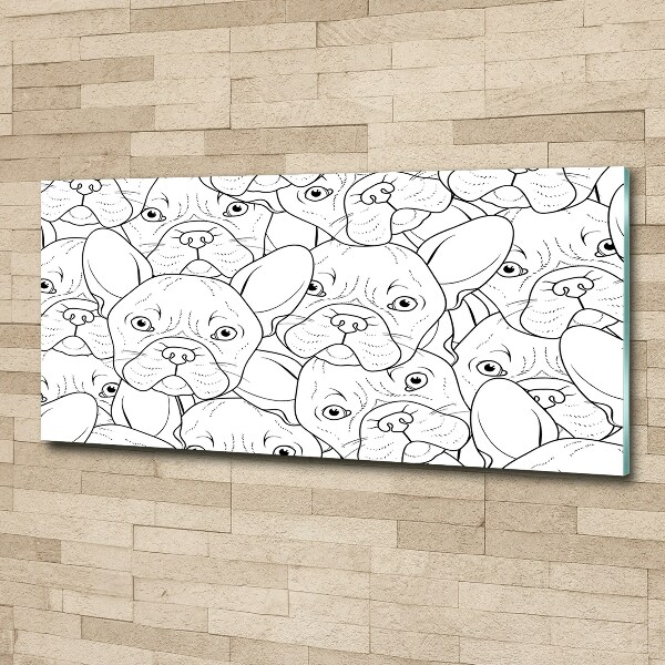 Schilderij op acrylglas Franse bulldogs