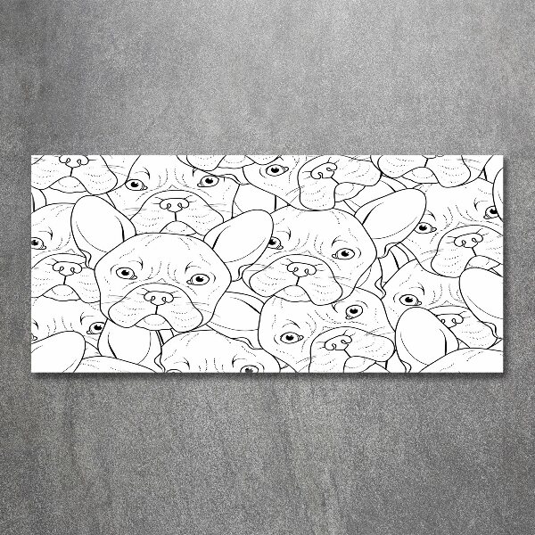 Schilderij op acrylglas Franse bulldogs