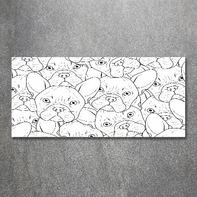 Schilderij op acrylglas Franse bulldogs