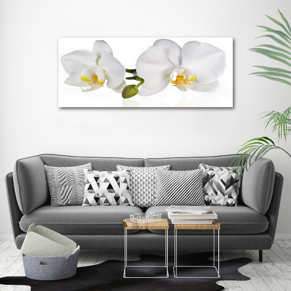 Plexiglas schilderij Orchidee