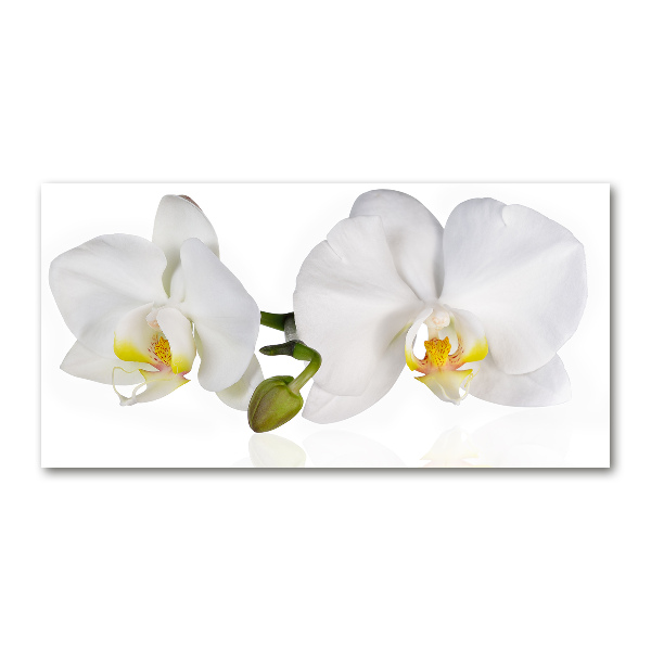 Plexiglas schilderij Orchidee