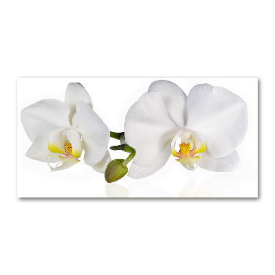Plexiglas schilderij Orchidee