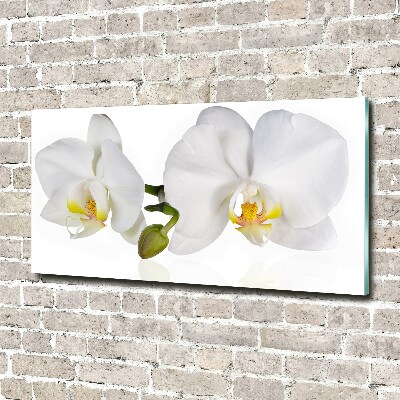 Plexiglas schilderij Orchidee