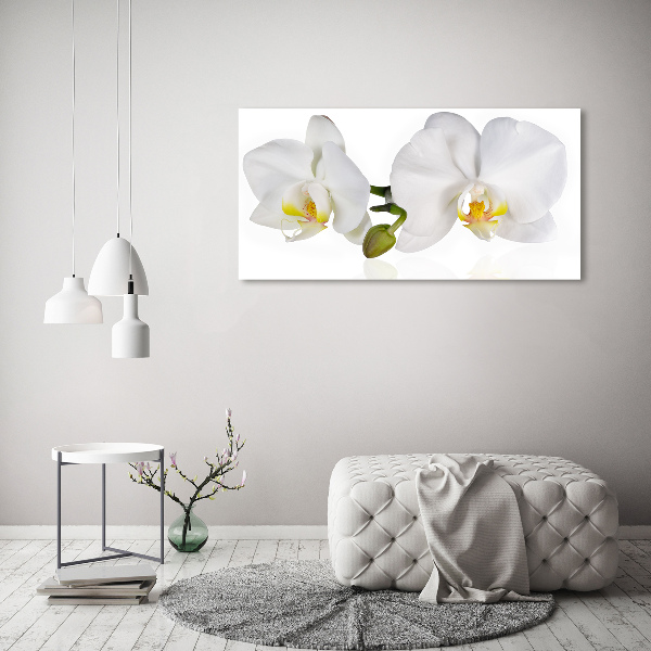 Plexiglas schilderij Orchidee