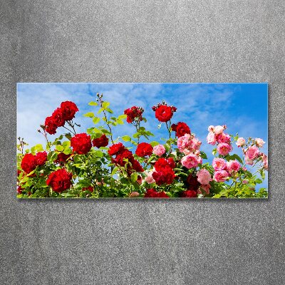 Foto plexiglas Wilde rozen