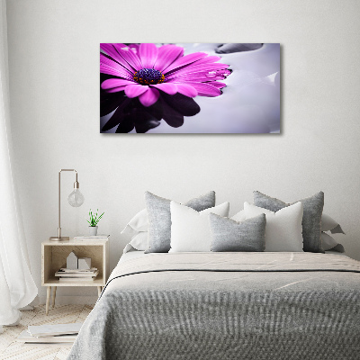 Foto in plexiglas Gerbera