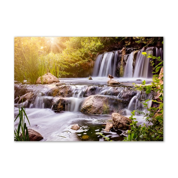 Plexiglas schilderij Waterval
