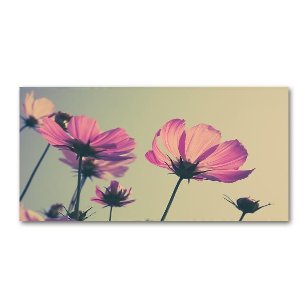 Plexiglas foto Roze bloemen