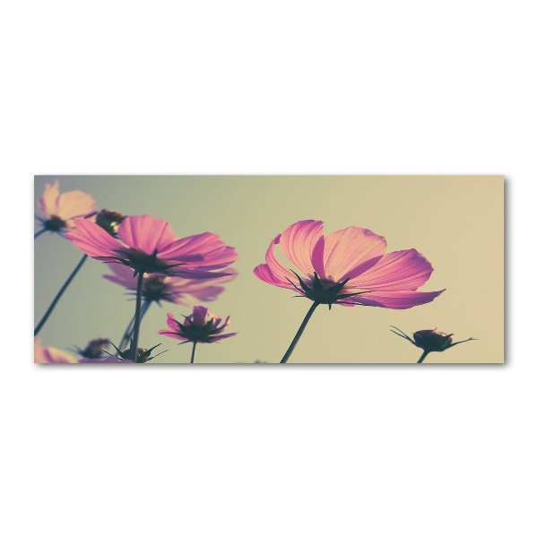 Plexiglas foto Roze bloemen