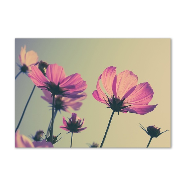 Plexiglas foto Roze bloemen