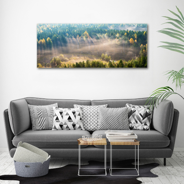 Foto op plexiglas Mist in het bos