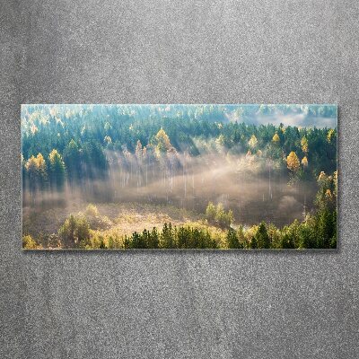 Foto op plexiglas Mist in het bos