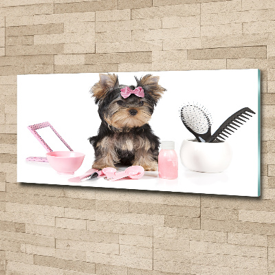 Plexiglas schilderij Yorkshire cosmetica