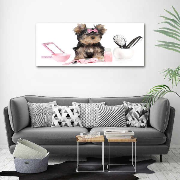 Plexiglas schilderij Yorkshire cosmetica