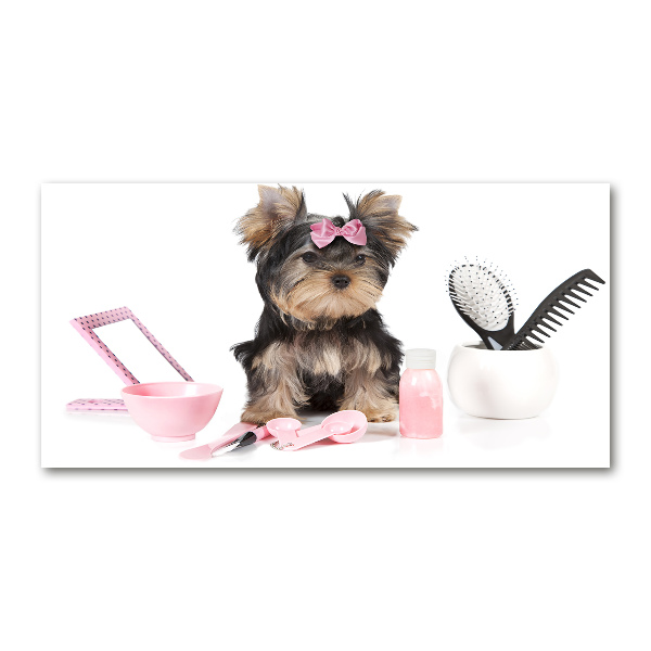 Plexiglas schilderij Yorkshire cosmetica